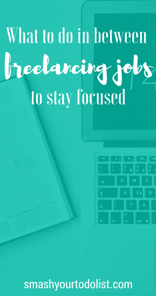 What to do in between freelancing jobs to stay focused. Tips on how to be productive when you are not working. Freelancer survival guide to when you don't have a client. 